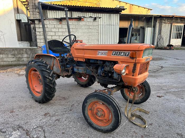 Usato Fiat 250 con arco di protezione 