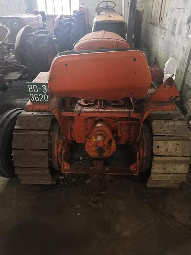 Usato Cingolato Venieri