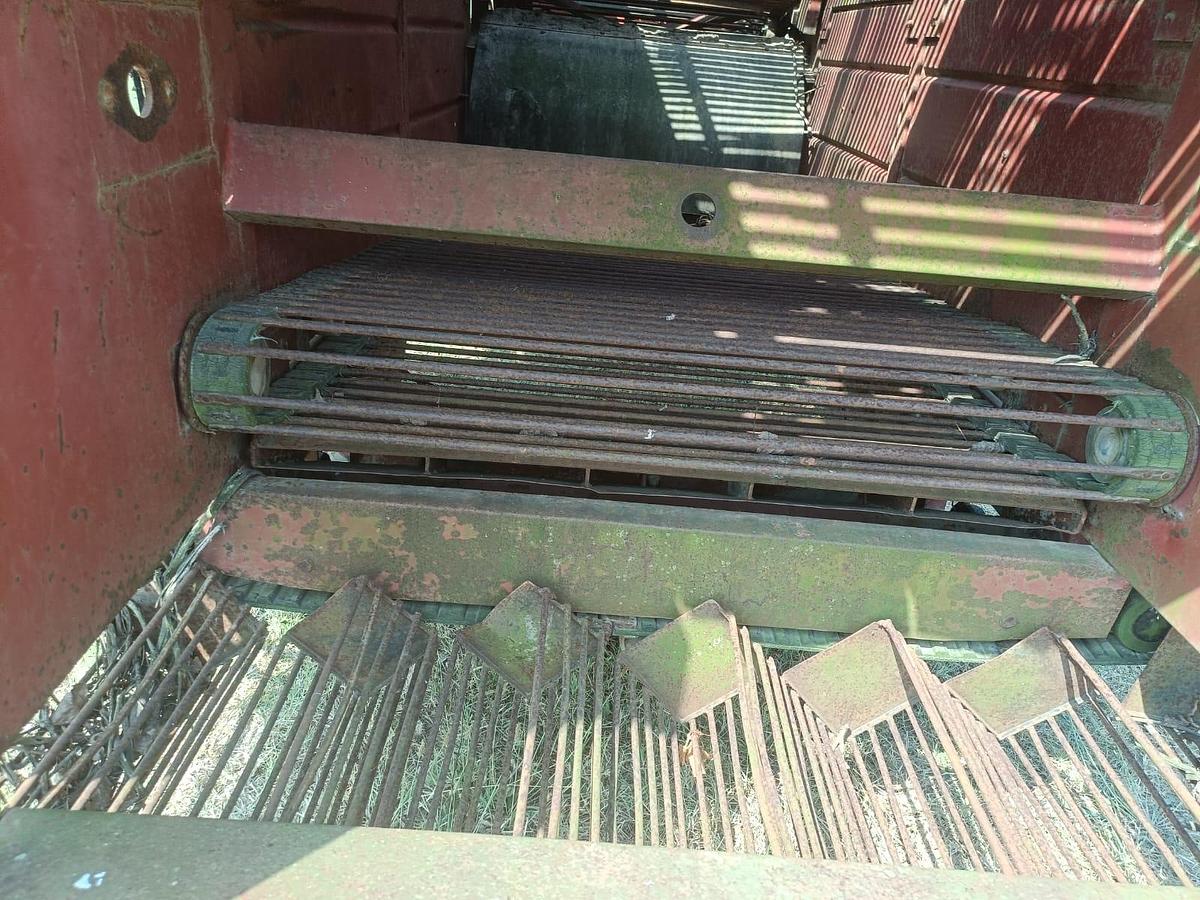 Usato Raccoglitrice Pomac trainata per patate, cipolle, aglio ecc