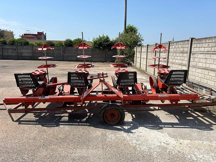 Usato Trapiantatrice Cecchi e Magli a 4 file carrellata