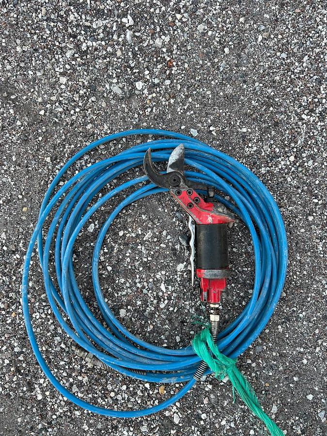 Usato Compressore Ceccato per potatura a cardano