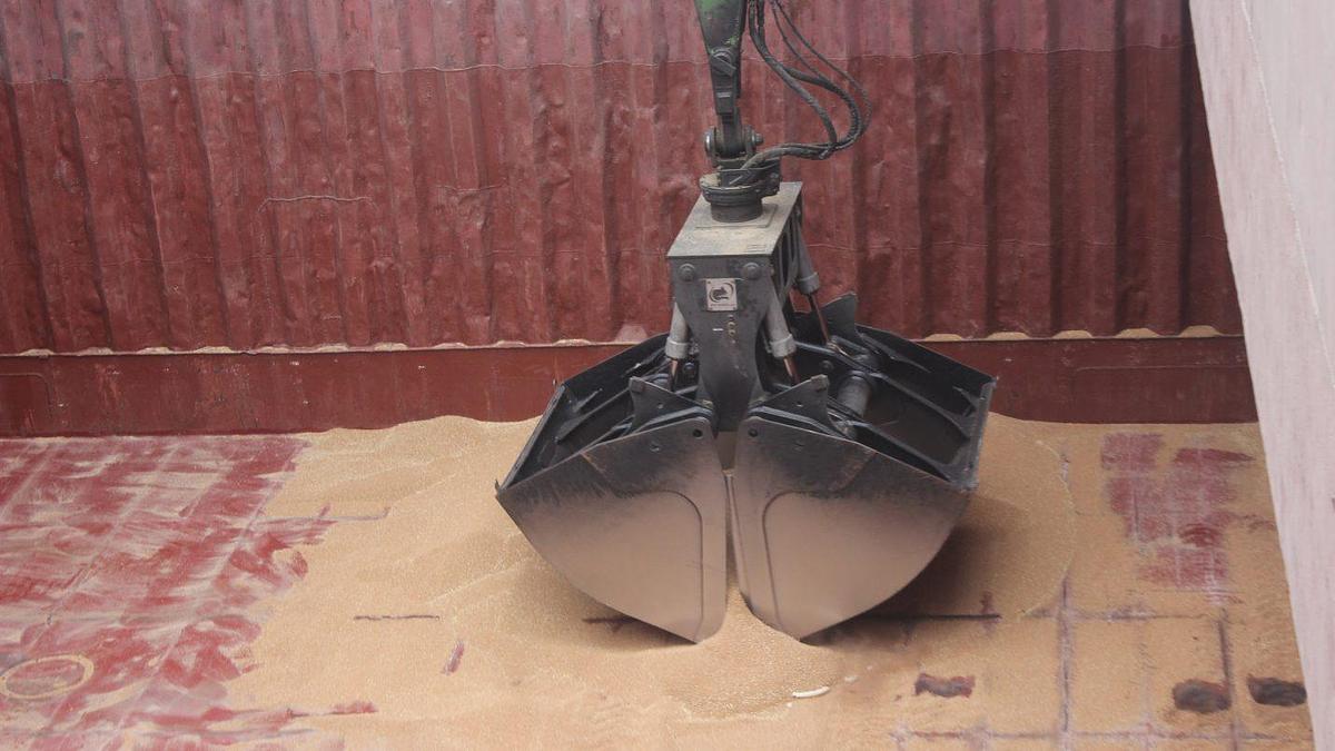 2026 Robotec Clam Buckets Light Duty
CSB1200L-RT1202