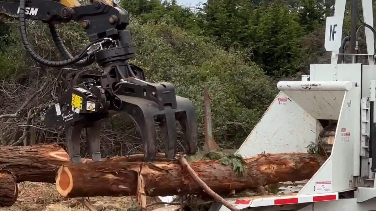 2026 Robotec Limb Reaper PC025R RGP-254 RGS350