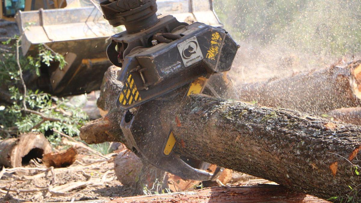 2026 Robotec Rotobec Grapple Saw RGS
RGS404