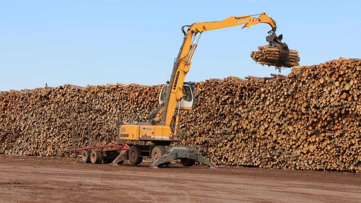 2026 Robotec Pulpwood Grapple Pulpwood
265PSG-RT1004HT