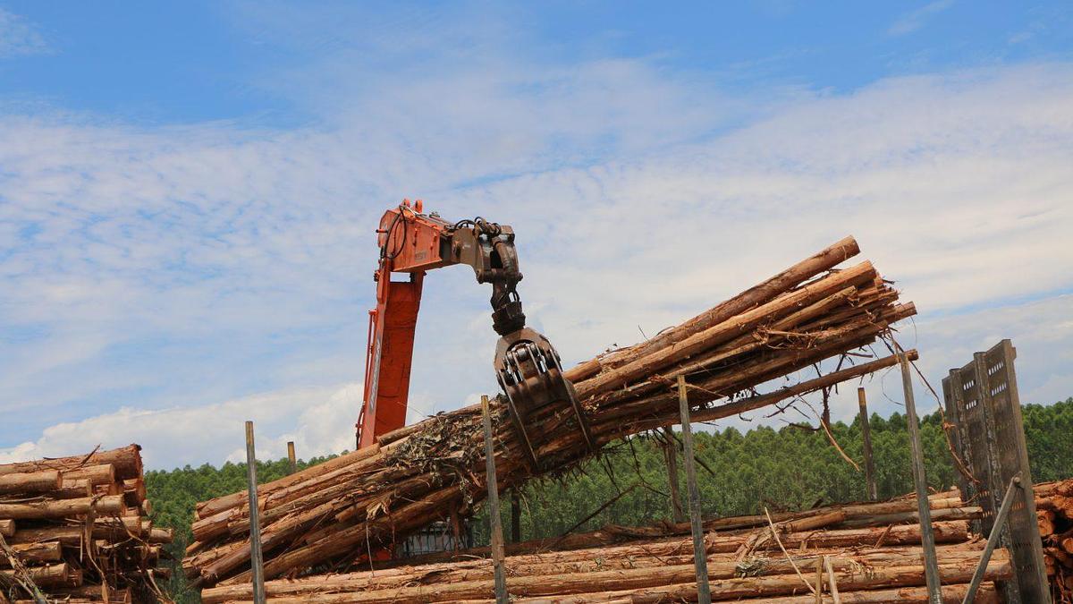 2026 Robotec Bunching Grapple Heavy Duty
F420HD-RT252