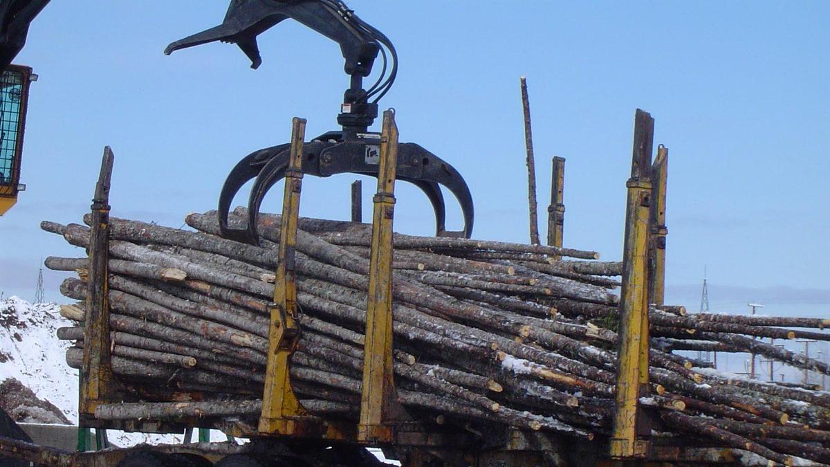 2026 Robotec Bunching Grapple Heavy Duty
F420HD-RT252