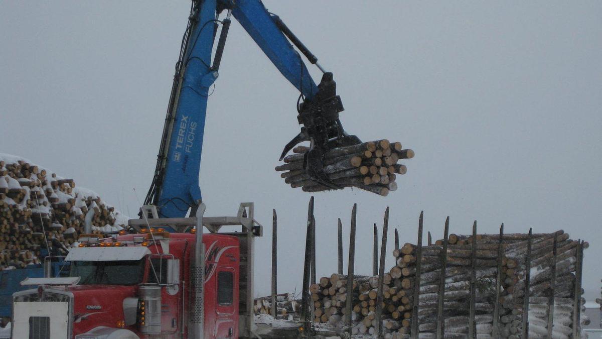 2026 Robotec Butt’n’Top Grapple Sorting
B325S-RGP1306