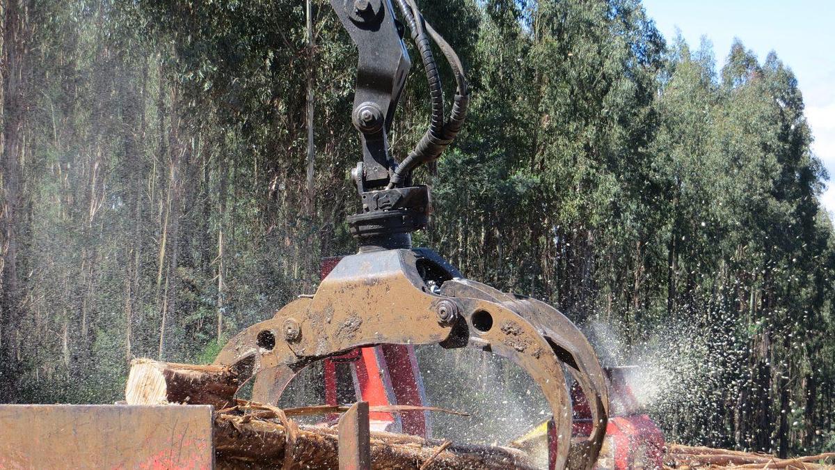 2026 Robotec Bunching Grapple Heavy Duty
F420HD-RT252