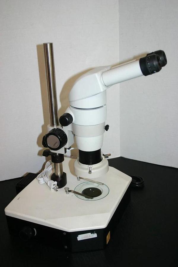 Used NIKON SMZ-800 Binocular Stereozoom Microscope 10-63X on Desktop Stand
