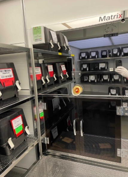 Used 2003 Matrix Integrated Systems Bobcat 208