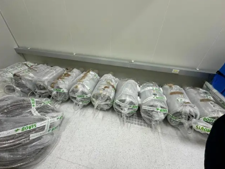 Refurbished 1999 Axcelis (Eaton) NV GSD-HE Ion Implanter