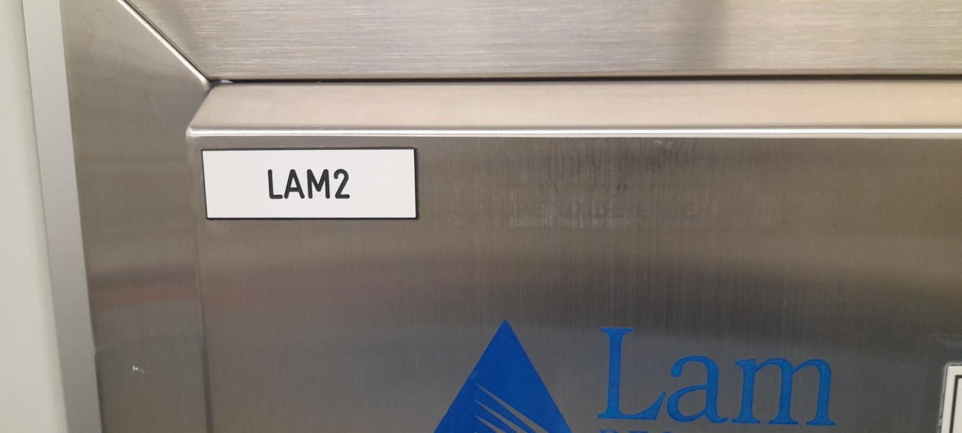 Used 1995 LAM Rainbow 4506I