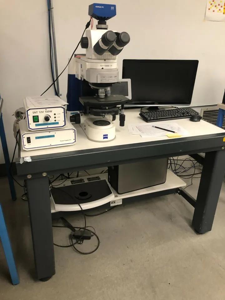 Used CARL ZEISS Micro Imaging Gmbh 37081, Axio Imager.M1m Precision Microscope