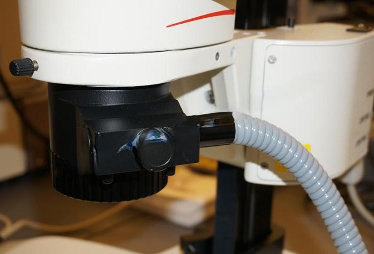 Used Leica MZ9.5 stereo microscope with motorized focus, camera port, ergohead