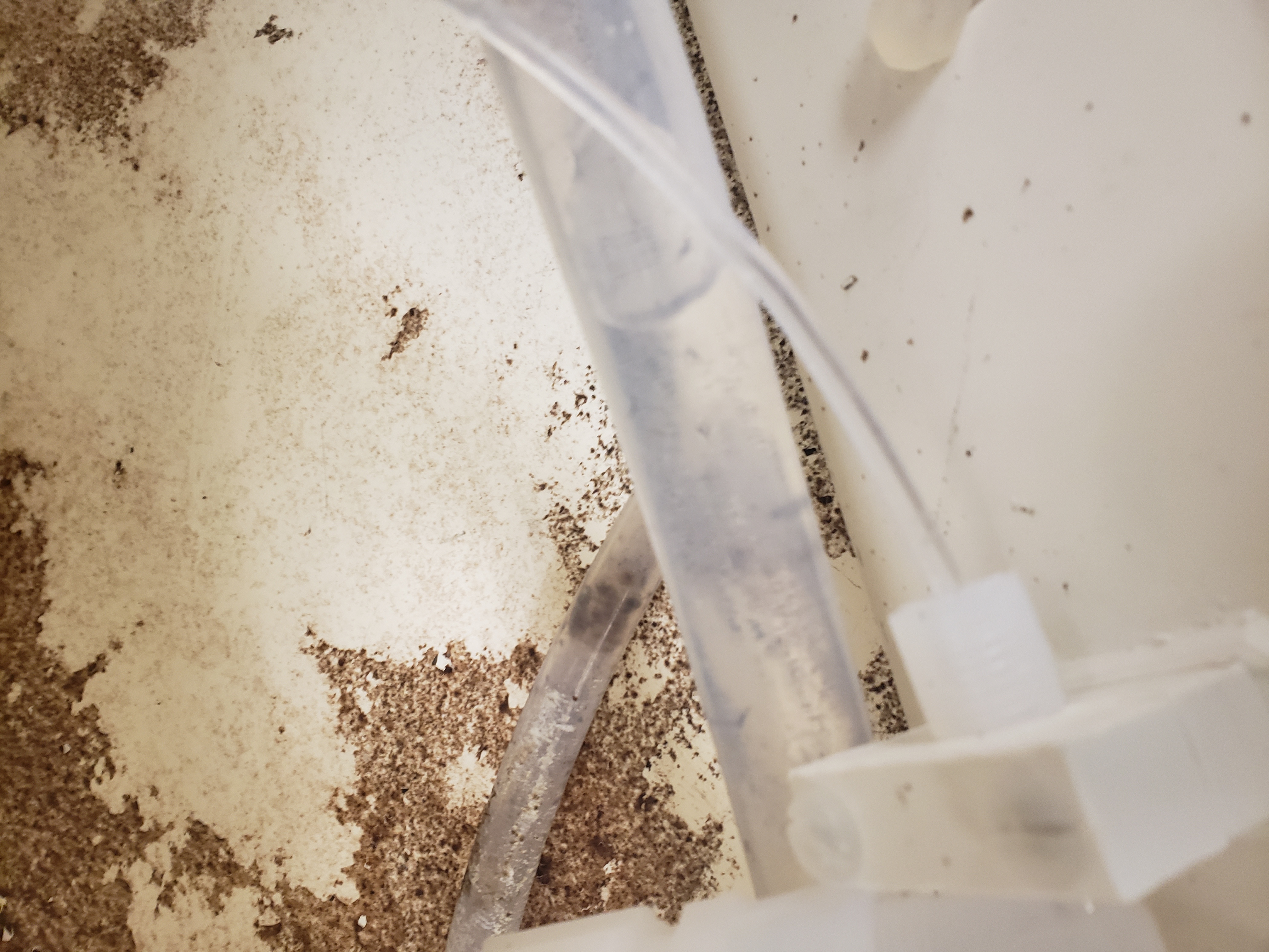 Used Verteq Oxide Wet Processing Station