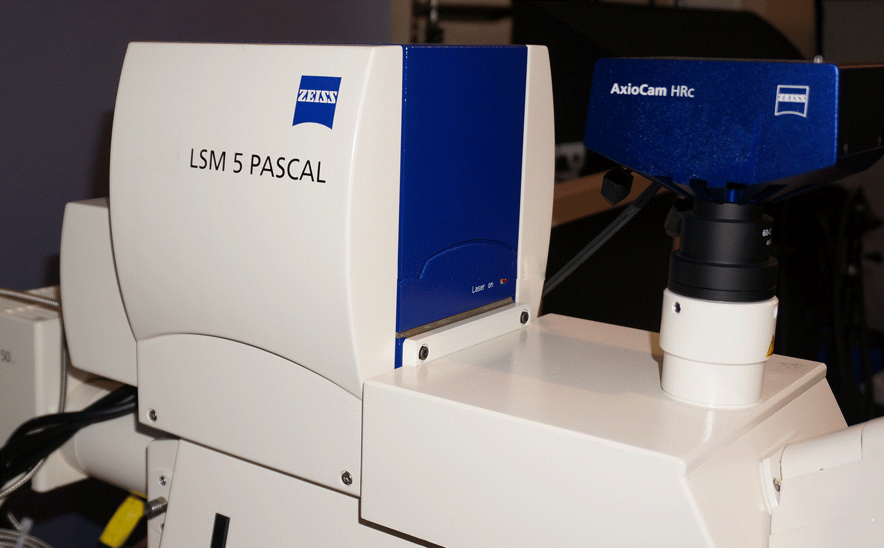 Used 2003 Zeiss LSM Pascal 5 Confocal Laser Scanning Microscope- VarioTwo UGB