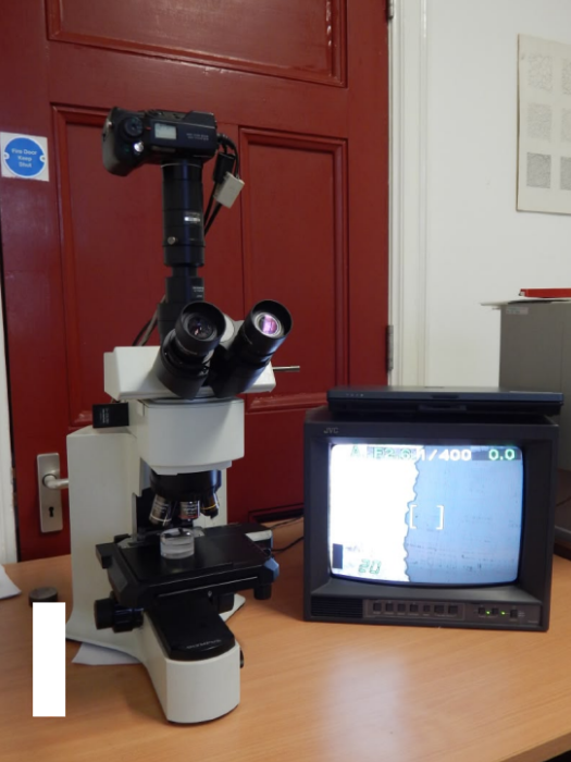 Used Olympus BX41M