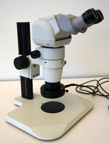 Used NIKON SMZ800 with ergohead and LED light ring