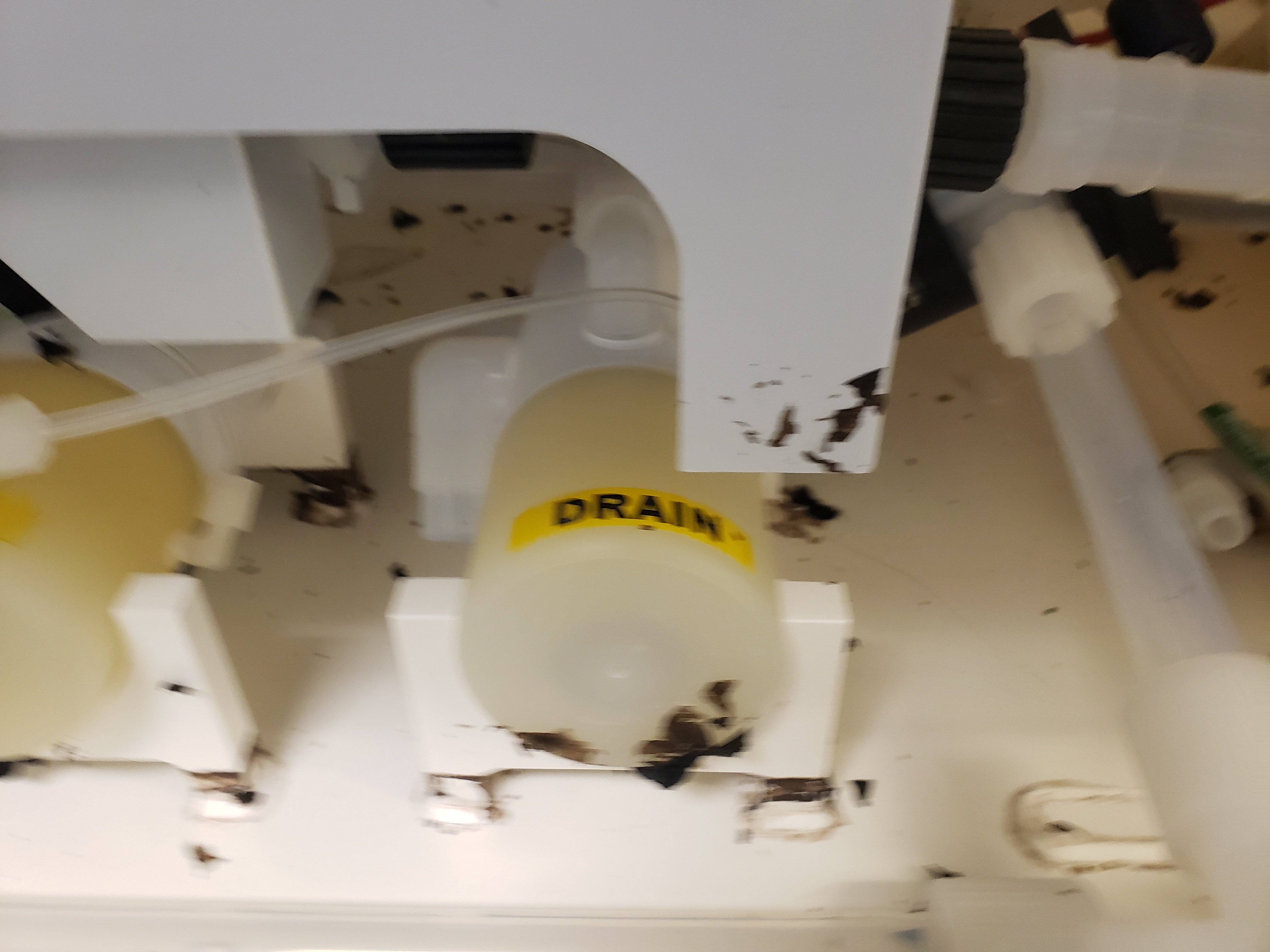 Used Verteq Nitride Wet Processing Station