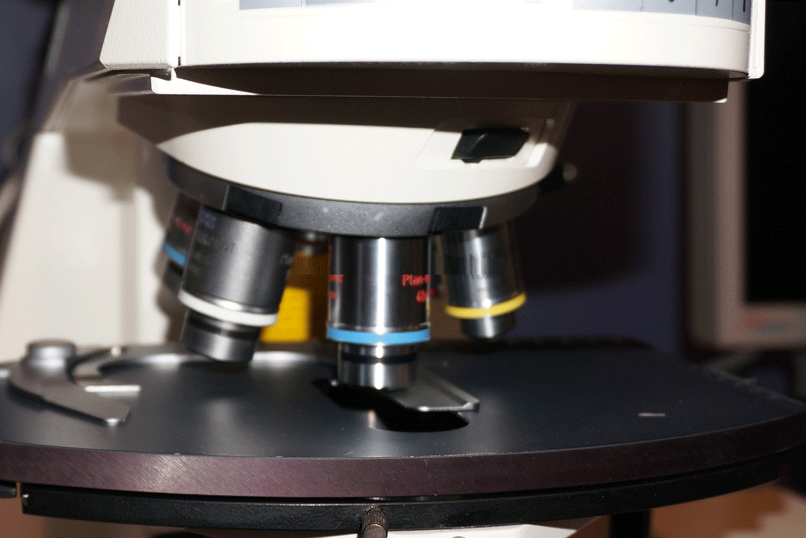 Used 2003 Zeiss LSM Pascal 5 Confocal Laser Scanning Microscope- VarioTwo UGB