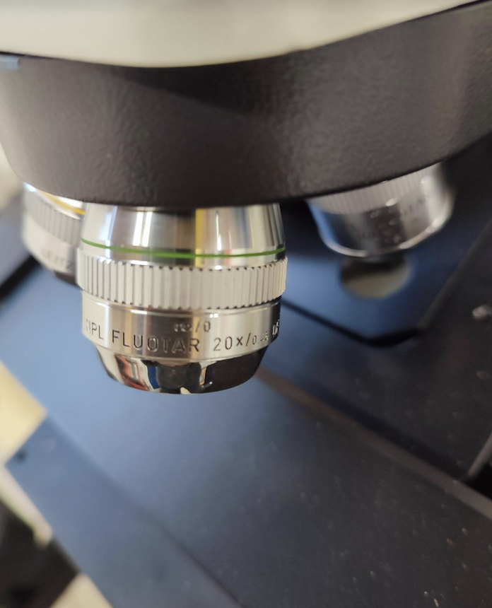 Used LEITZ ERGOLUX AMC -LIS