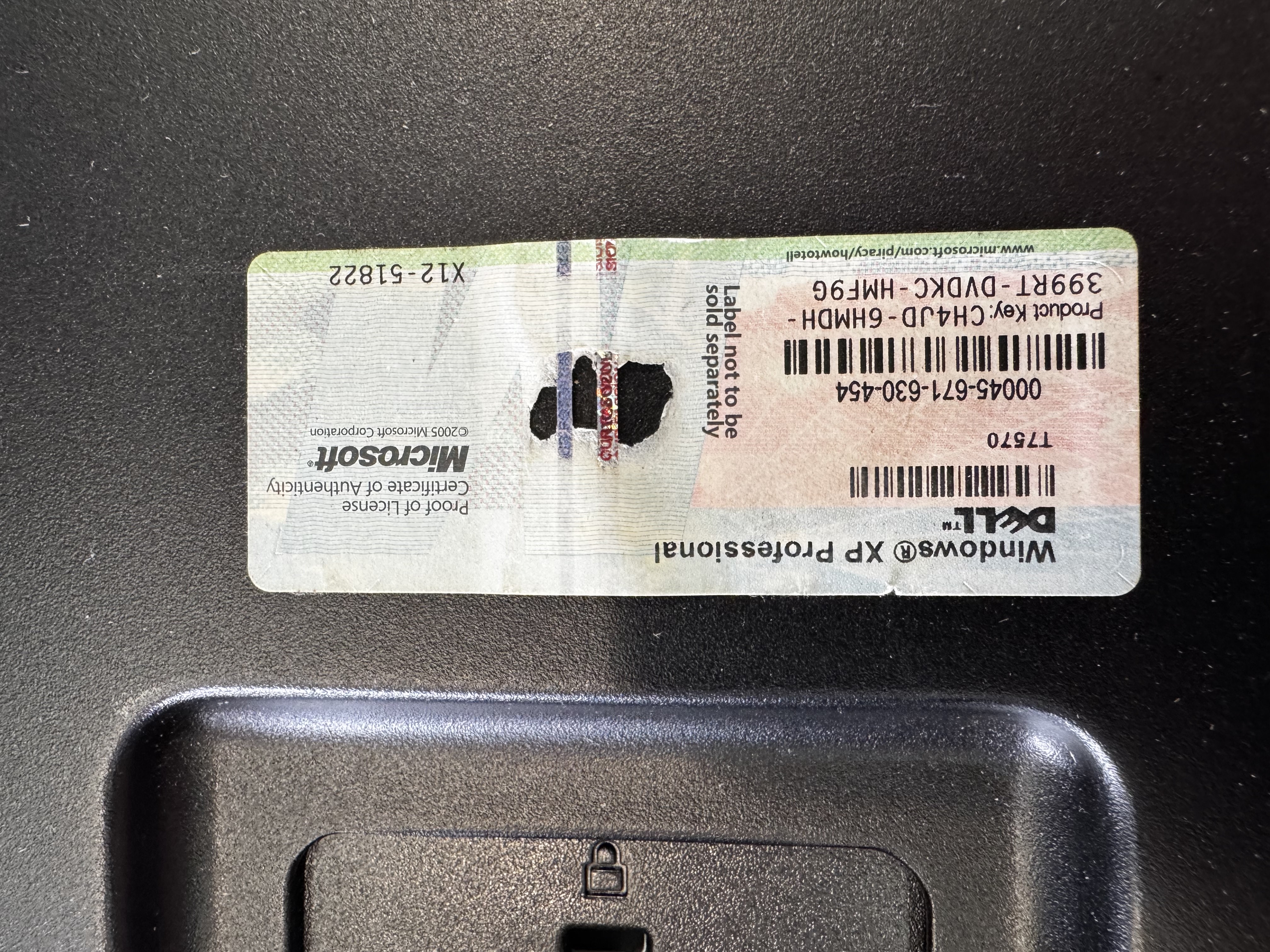 Used 2009 Jeol -6490LV SEM