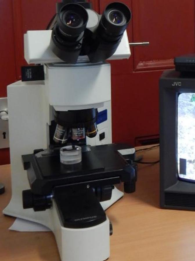 Used Olympus BX41M