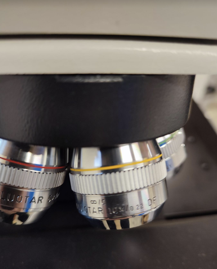 Used LEITZ ERGOLUX AMC -LIS