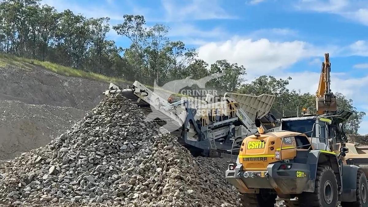 NEW SCREEN USA CD516