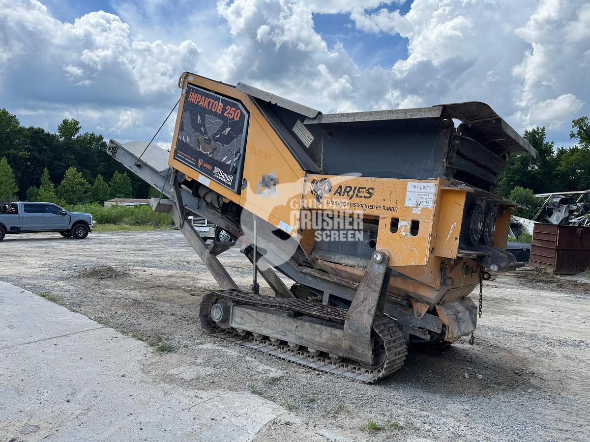 Used 2019 ARJES IMPAKTOR 250