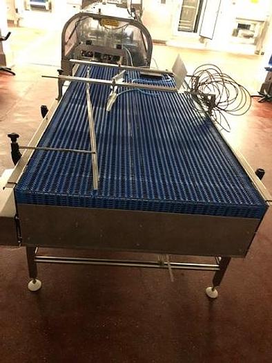 Used Intralox Conveyor
