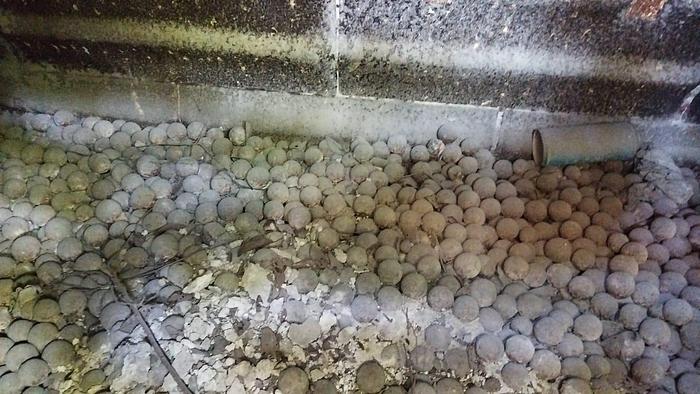 Usato 1990 Mulino a sfere Loro & Parisini P1200 - Ball mill