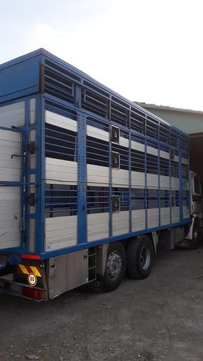Usato 1989 Autocarro per trasporto animali SCANIA 113 H - Animal transport truck
