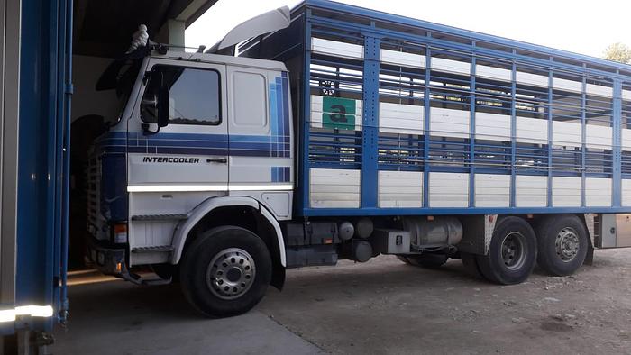 Usato 1989 Autocarro per trasporto animali SCANIA 113 H - Animal transport truck