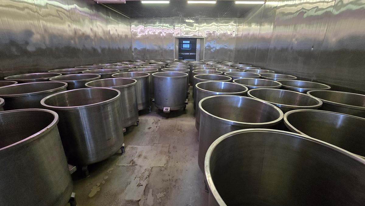 Usato 2010 Tini Acciaio 500