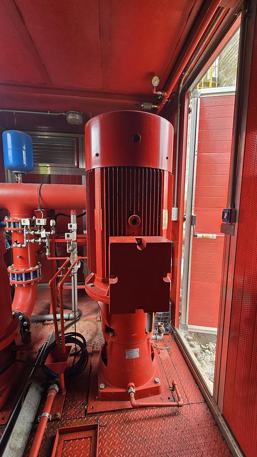 Usato 2011 AUDOLI & BERTOLA tipo ANS