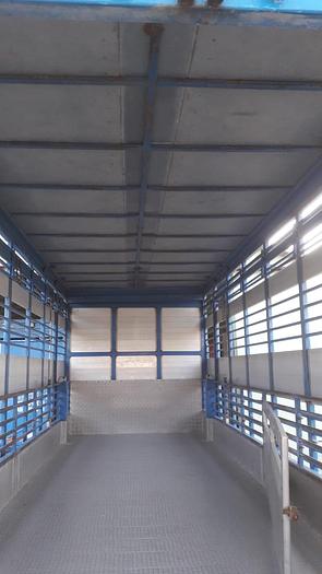 Usato 1989 Autocarro per trasporto animali SCANIA 113 H - Animal transport truck