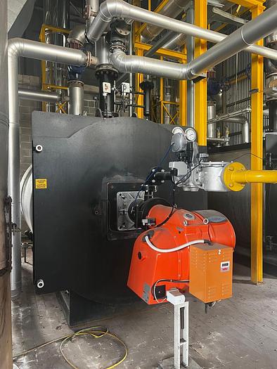 Usato 2013 ICI Caldaie S.p.a. ASG EN 3002