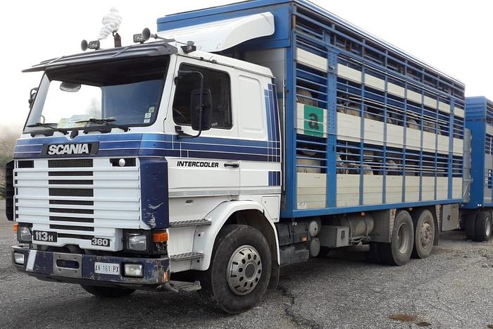 Usato 1989 Autocarro per trasporto animali SCANIA 113 H - Animal transport truck