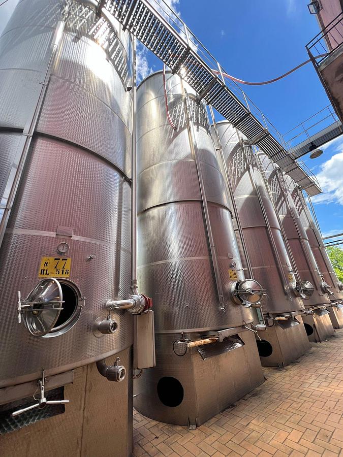 Usato Serbatoi vinificatori e stoccaggio Totale acciaio - Winemaking and storage tanks