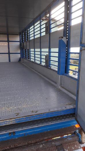 Usato 1989 Autocarro per trasporto animali SCANIA 113 H - Animal transport truck