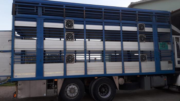 Usato 1989 Autocarro per trasporto animali SCANIA 113 H - Animal transport truck