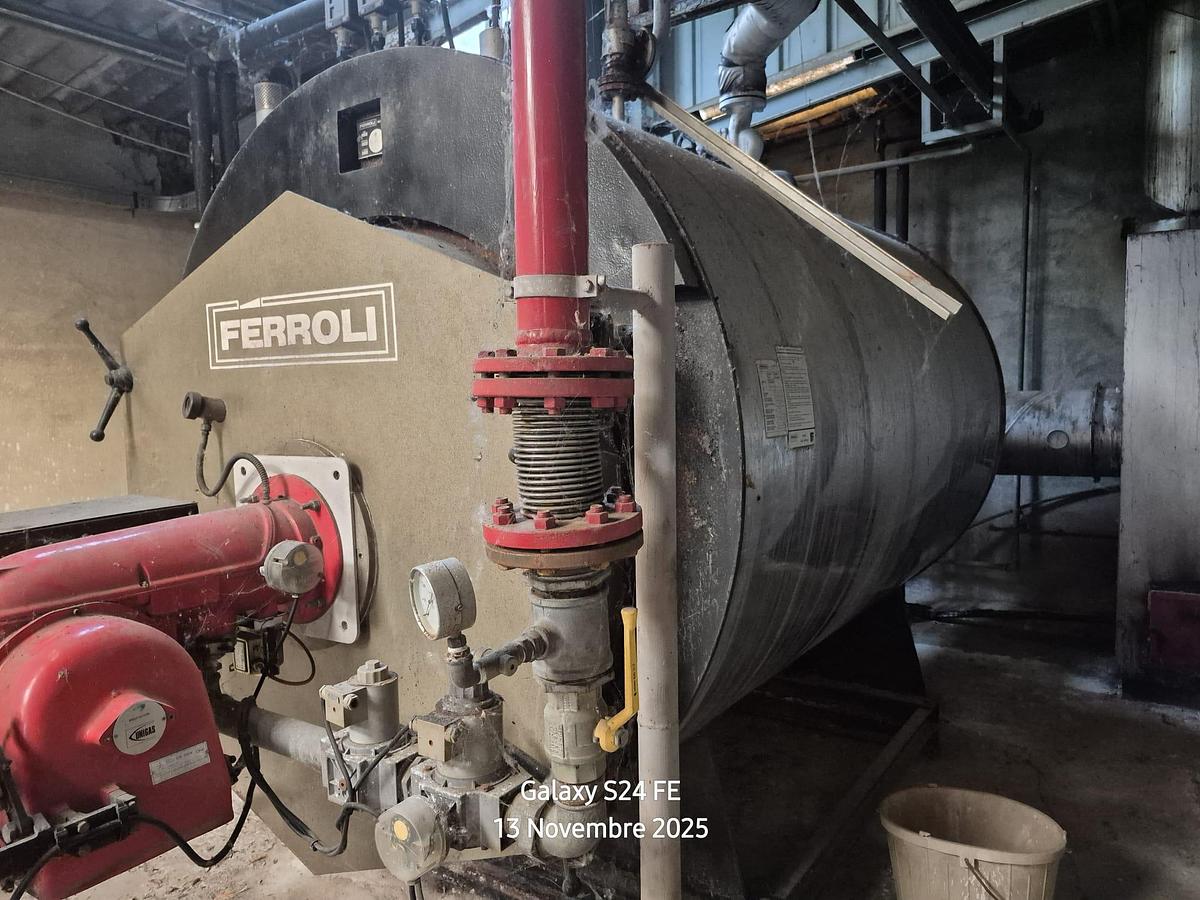 Usato 1995 FERROLI HP 1.000