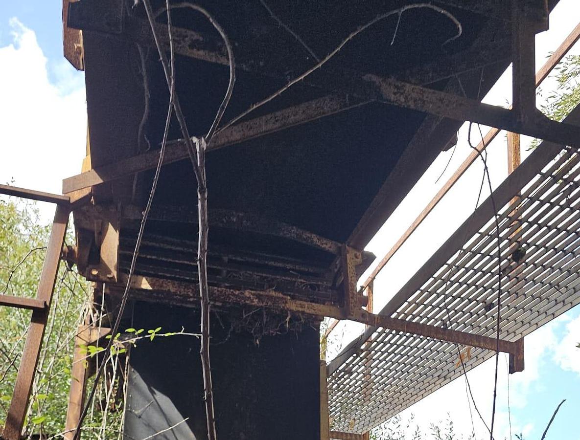 Usato 2001 Loro & Parisini Nastro 60 M