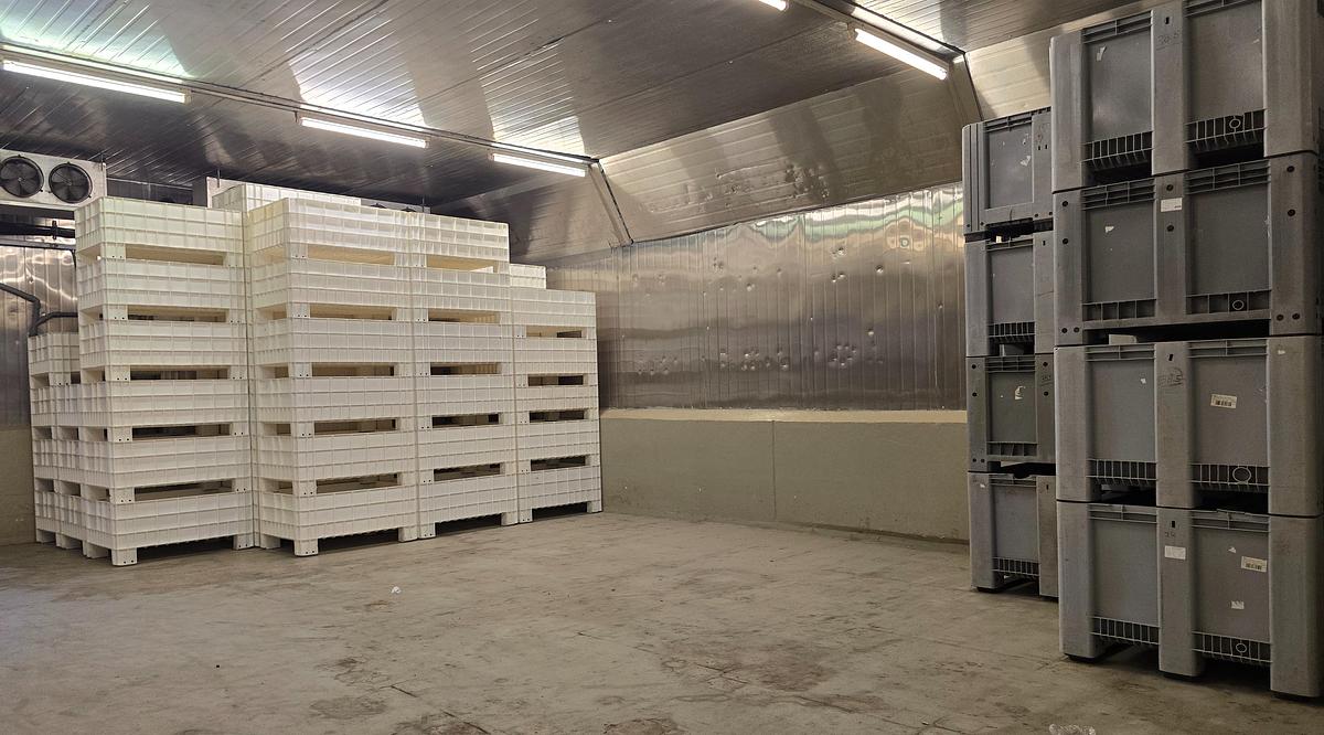 Usato 2010 Lotto completo Lavorazione Carne (Salumificio) Varie marche - Complete Meat Processing Lot (Cured Meat Facility)