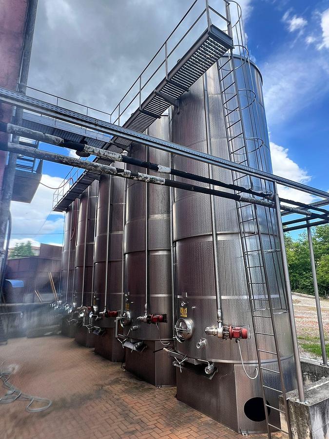 Usato Serbatoi vinificatori e stoccaggio Totale acciaio - Winemaking and storage tanks
