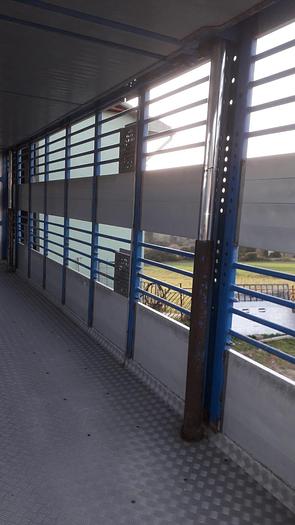 Usato 1989 Autocarro per trasporto animali SCANIA 113 H - Animal transport truck