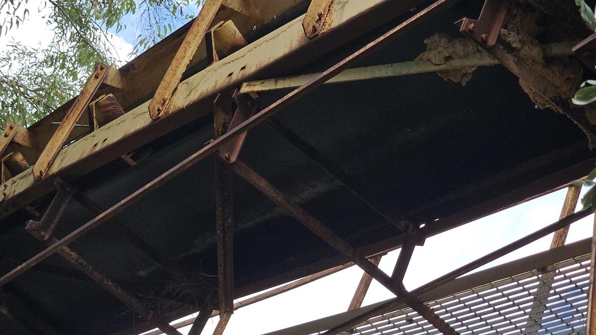 Usato 2001 Loro & Parisini Nastro 60 M