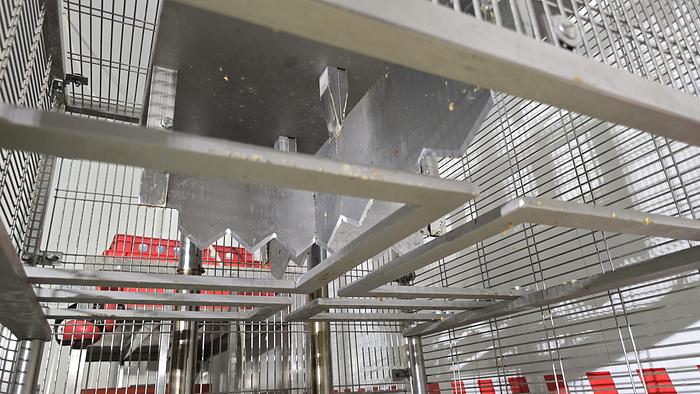 Usato 2013 Selezionatrice GELMINI SUMG 4T SR - Sorter